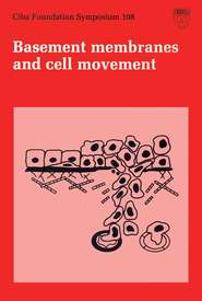 бесплатно читать книгу Basement Membranesand Cell Movement автора  CIBA Foundation Symposium