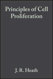 бесплатно читать книгу Principles of Cell Proliferation автора J. Heath