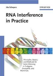 бесплатно читать книгу RNA Interference in Practice автора Ute Schepers