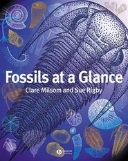 бесплатно читать книгу Fossils at a Glance автора Clare Milsom