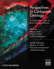 бесплатно читать книгу Perspectives in Carbonate Geology автора Judith McKenzie