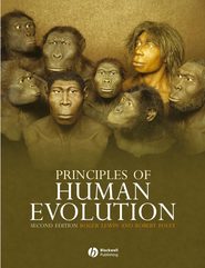 бесплатно читать книгу Principles of Human Evolution автора Roger Lewin