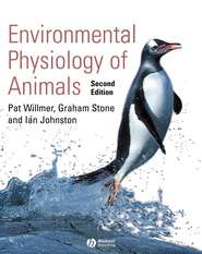 бесплатно читать книгу Environmental Physiology of Animals автора Ian Johnston