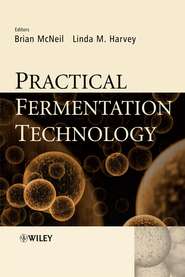 бесплатно читать книгу Practical Fermentation Technology автора Brian McNeil