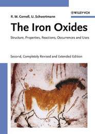 бесплатно читать книгу The Iron Oxides автора Udo Schwertmann
