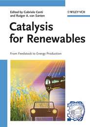 бесплатно читать книгу Catalysis for Renewables автора Gabriele Centi