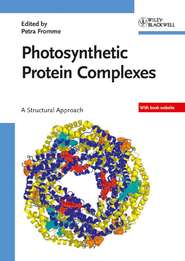 бесплатно читать книгу Photosynthetic Protein Complexes автора Petra Fromme