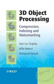 бесплатно читать книгу 3D Object Processing автора Jean-Luc Dugelay