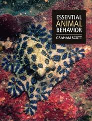 бесплатно читать книгу Essential Animal Behavior автора Graham Scott