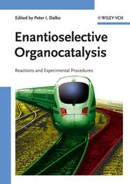 бесплатно читать книгу Enantioselective Organocatalysis автора Peter Dalko