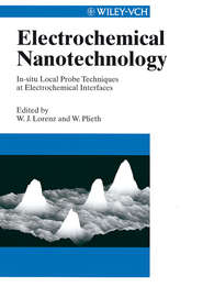 бесплатно читать книгу Electrochemical Nanotechnology автора Waldfried Plieth