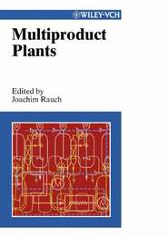 бесплатно читать книгу Multiproduct Plants автора Joachim Rauch