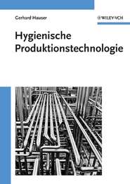 бесплатно читать книгу Hygienische Produktionstechnologie автора Gerhard Hauser