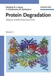 бесплатно читать книгу Protein Degradation автора Martin Rechsteiner