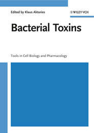 бесплатно читать книгу Bacterial Toxins автора Klaus Aktories