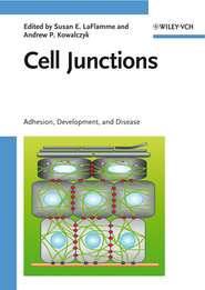 бесплатно читать книгу Cell Junctions автора Andrew Kowalczyk