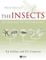 бесплатно читать книгу The Insects автора P. Gullan