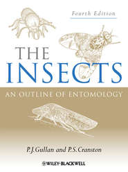 бесплатно читать книгу The Insects автора P. Gullan