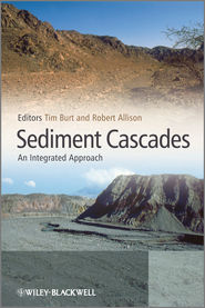 бесплатно читать книгу Sediment Cascades автора Tim Burt