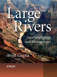 бесплатно читать книгу Large Rivers автора Avijit Gupta
