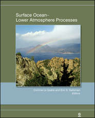 бесплатно читать книгу Surface Ocean автора Eric Saltzman