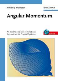 бесплатно читать книгу Angular Momentum автора William Thompson