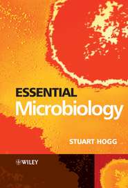 бесплатно читать книгу Essential Microbiology автора Stuart Hogg