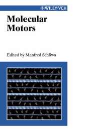 бесплатно читать книгу Molecular Motors автора Manfred Schliwa