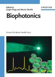 бесплатно читать книгу Biophotonics автора Jurgen Popp