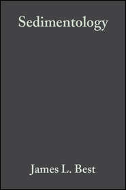 бесплатно читать книгу Sedimentology автора Ian Jarvis