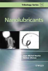 бесплатно читать книгу Nanolubricants автора Nobuo Ohmae