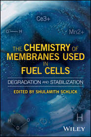 бесплатно читать книгу The Chemistry of Membranes Used in Fuel Cells автора Shulamith Schlick