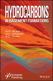 бесплатно читать книгу Hydrocarbons in Basement Formations автора M. Hossain