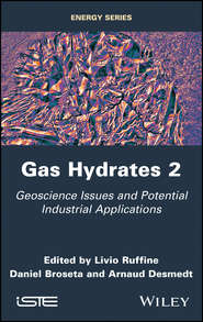 бесплатно читать книгу Gas Hydrates 2 автора Daniel Broseta
