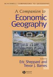 бесплатно читать книгу A Companion to Economic Geography автора Eric Sheppard