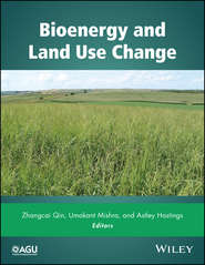 бесплатно читать книгу Bioenergy and Land Use Change автора Zhangcai Qin