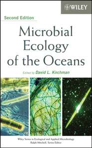 бесплатно читать книгу Microbial Ecology of the Oceans автора David Kirchman
