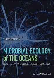 бесплатно читать книгу Microbial Ecology of the Oceans автора David Kirchman