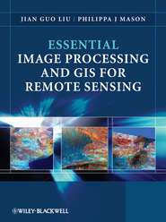 бесплатно читать книгу Essential Image Processing and GIS for Remote Sensing автора Philippa Mason