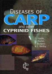 бесплатно читать книгу Diseases of Carp and Other Cyprinid Fishes автора Peter Burgess