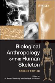 бесплатно читать книгу Biological Anthropology of the Human Skeleton автора M. Katzenberg