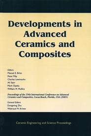 бесплатно читать книгу Developments in Advanced Ceramics and Composites автора Peter Filip