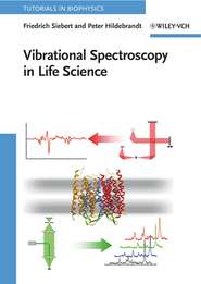 бесплатно читать книгу Vibrational Spectroscopy in Life Science автора Friedrich Siebert