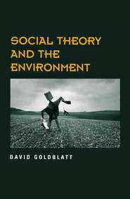 бесплатно читать книгу Social Theory and the Environment автора David Goldblatt