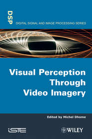 бесплатно читать книгу Visual Perception Through Video Imagery автора Michel Dhome