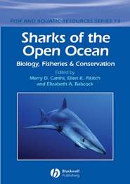 бесплатно читать книгу Sharks of the Open Ocean автора Elizabeth Babcock