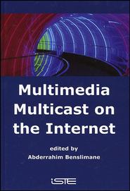 бесплатно читать книгу Multimedia Multicast on the Internet автора Abderrahim Benslimane