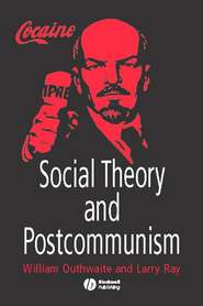 бесплатно читать книгу Social Theory and Postcommunism автора William Outhwaite