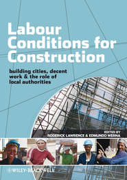бесплатно читать книгу Labour Conditions for Construction автора Edmundo Werna