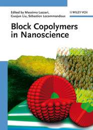 бесплатно читать книгу Block Copolymers in Nanoscience автора Massimo Lazzari